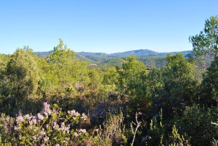 Can Maginet Avinyonet del Penedes Exterior photo